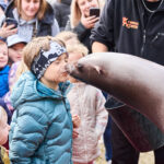FOTO, VIDEO: Cirkus Prince ukazuje nejen lachtaní show