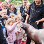 FOTO, VIDEO: Cirkus Prince ukazuje nejen lachtaní show