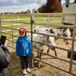 FOTO, VIDEO: Cirkus Prince ukazuje nejen lachtaní show