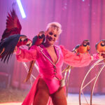 FOTO, VIDEO: Cirkus Prince ukazuje nejen lachtaní show