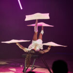 FOTO, VIDEO: Cirkus Prince ukazuje nejen lachtaní show