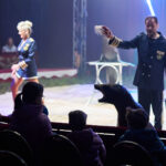 FOTO, VIDEO: Cirkus Prince ukazuje nejen lachtaní show