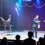 FOTO, VIDEO: Cirkus Prince ukazuje nejen lachtaní show