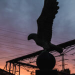 Letní cyklus výstav v EPO1