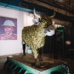 Letní cyklus výstav v EPO1