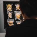 Letní cyklus výstav v EPO1