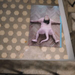 Letní cyklus výstav v EPO1