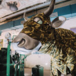 Letní cyklus výstav v EPO1