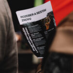 Letní cyklus výstav v EPO1