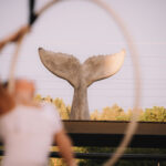 Letní cyklus výstav v EPO1