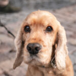 Sochy v ulicích: vernisáž výstavy Martin Skalický