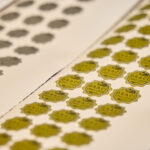 Nové chutě, osvědčená jména a možná poslední ročník