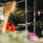 Den otevřených lesů - Zahradní slavnost na Para