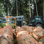 Den otevřených lesů - Zahradní slavnost na Para