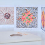 ZUŠka otevřela vlastní galerii. Nový prostor přibližuje umění nejmladších