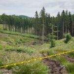 FOTO: Jak vypadá dnešní lesník? Odpověď dávají České lesnické dny