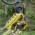 FOTO: Jak vypadá dnešní lesník? Odpověď dávají České lesnické dny