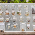 FOTO: Jak vypadá dnešní lesník? Odpověď dávají České lesnické dny