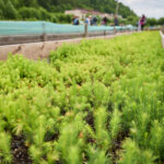 FOTO: Jak vypadá dnešní lesník? Odpověď dávají České lesnické dny