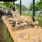 FOTO: Jak vypadá dnešní lesník? Odpověď dávají České lesnické dny