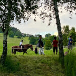 Den obce a dětí ve Starém Rokytníku