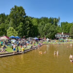 Draci na Dolcích, 15. ročník závodu dračích lodí