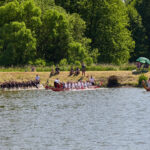 Draci na Dolcích, 15. ročník závodu dračích lodí