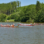 Draci na Dolcích, 15. ročník závodu dračích lodí