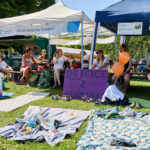 Draci na Dolcích, 15. ročník závodu dračích lodí