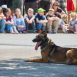 VIDEO: Profesionální hasiči v Trutnově slavili 70. výročí založení svého sboru