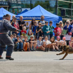 VIDEO: Profesionální hasiči v Trutnově slavili 70. výročí založení svého sboru