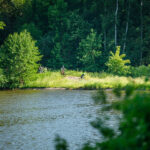 FOTO: V kempu Dolce a okolo Severky se závodilo na kolech