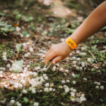 FOTO: Hravé putování. Do lesa za pohádkou a další zábavou