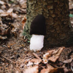 FOTO: Hravé putování. Do lesa za pohádkou a další zábavou