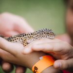 FOTO: Hravé putování. Do lesa za pohádkou a další zábavou