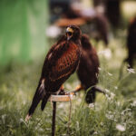 FOTO: Hravé putování. Do lesa za pohádkou a další zábavou