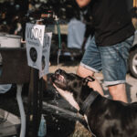 FOTO: Nachmelenej pochoďák aneb Když pivo chutná v pohybu