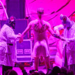 FOTO: Myši, netopýři a lidé jako testovací subjekty na OEF