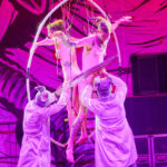 FOTO: Myši, netopýři a lidé jako testovací subjekty na OEF