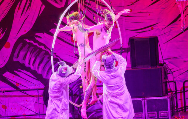 FOTO: Myši, netopýři a lidé jako testovací subjekty na OEF