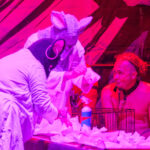 FOTO: Myši, netopýři a lidé jako testovací subjekty na OEF