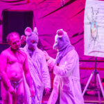 FOTO: Myši, netopýři a lidé jako testovací subjekty na OEF