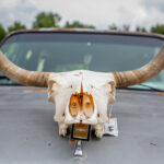 Sraz Amerik ve Starém Rokytníku - 4. ročník