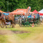 Havlovická Traktoriáda - 5. ročník