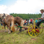 Havlovická Traktoriáda - 5. ročník