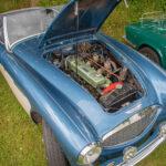 Havlovická Traktoriáda - 5. ročník