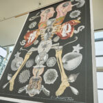 Koláže Hynka Šnajdara ukazují i jeho sny. Ty chce vydat také knižně