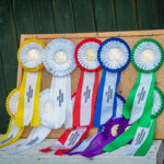 Memoriál Františka Ventury ve Svobodě nad Úpou - 8. ročník