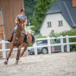 Memoriál Františka Ventury ve Svobodě nad Úpou - 8. ročník