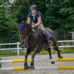 Memoriál Františka Ventury ve Svobodě nad Úpou - 8. ročník